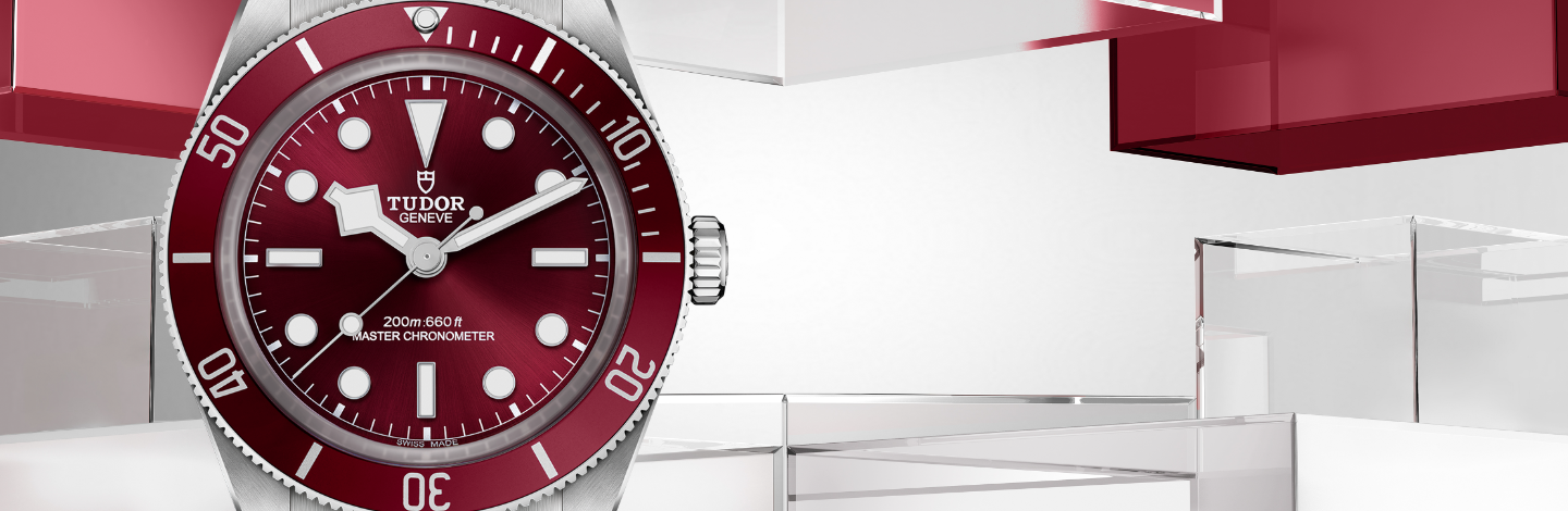 TUDOR Black Bay watch